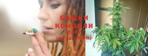 тгк Ладушкин