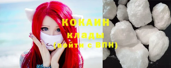 тгк Ладушкин
