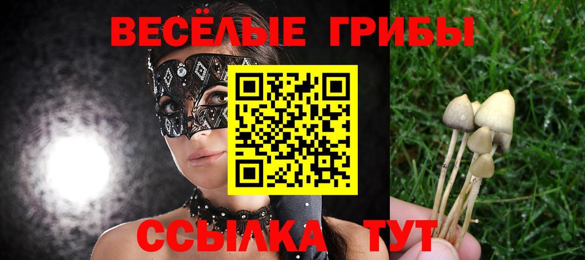 Галлюциногенные грибы MAGIC MUSHROOMS Нижнекамск