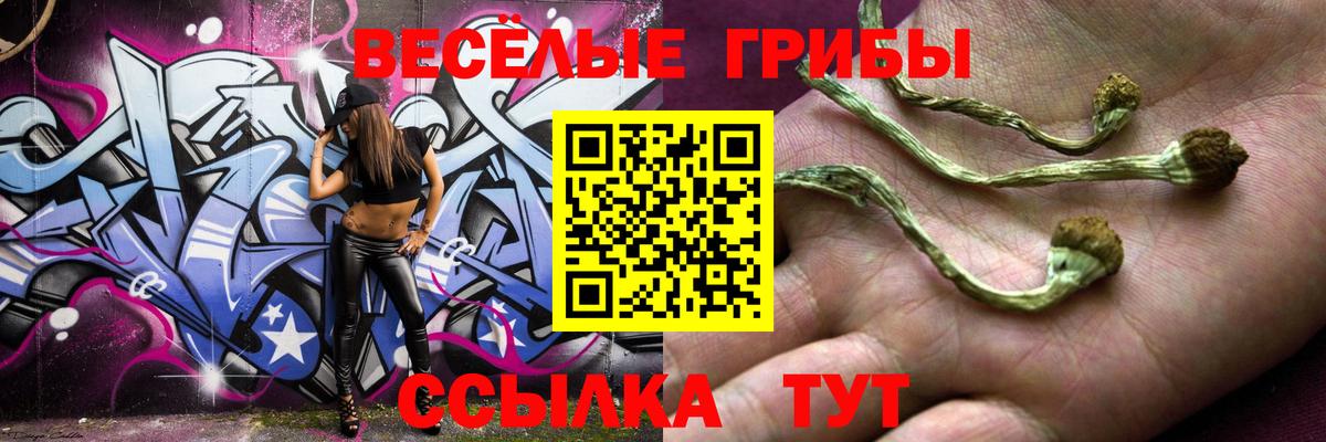 Псилоцибиновые грибы GOLDEN TEACHER  Вход с VPN  Нижнекамск 