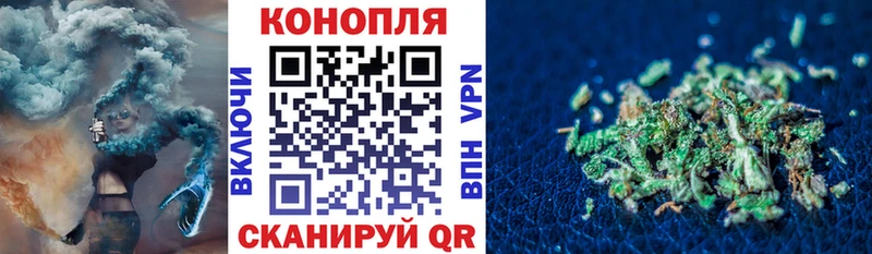 Конопля Amnesia  купить наркотик  Нижнекамск 